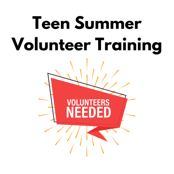 Text reads Teen summer volunteer training (volunteers needed)
